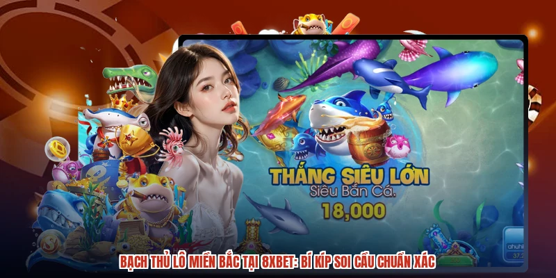 Bạch Thủ Lô Miền Bắc Tại 8XBET: Bí Kíp Soi Cầu Chuẩn Xác