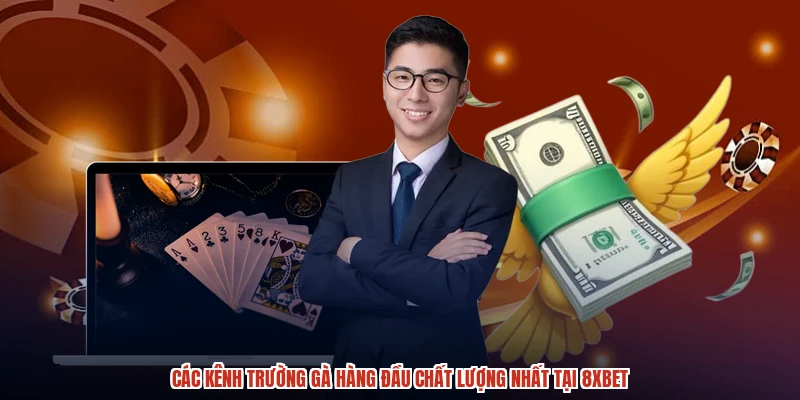 Các kênh trường gà hàng đầu chất lượng nhất tại 8XBET