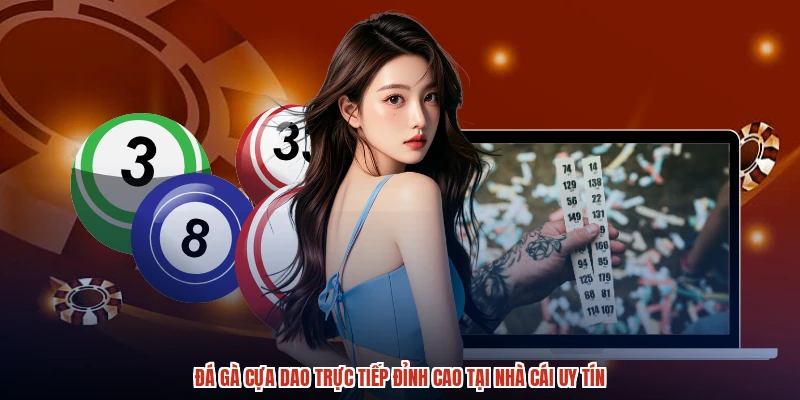 Đá Gà Cựa Dao Trực Tiếp Đỉnh Cao Tại Nhà Cái Uy Tín