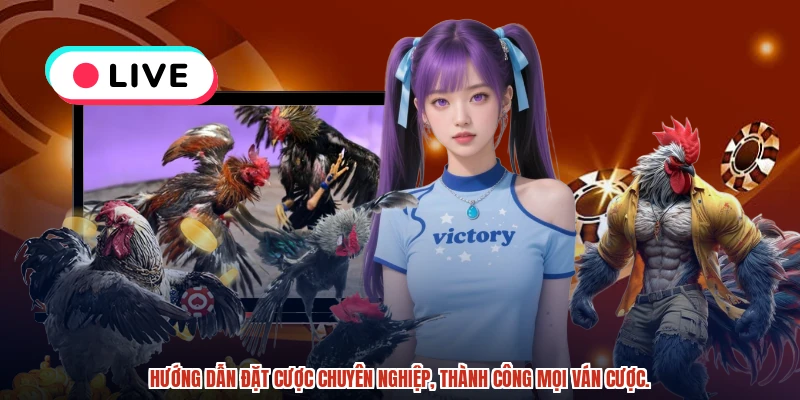 Hướng dẫn đặt cược chuyên nghiệp, thành công mọi ván cược.