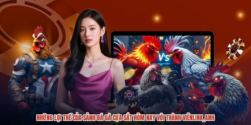 Những lợi thế của sảnh đá gà cựa sắt hôm nay với thành viênanh Những lợi thế của sảnh đá gà cựa sắt hôm nay với thành viênanh