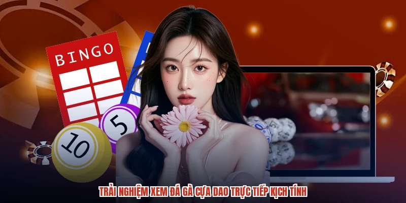 Trải nghiệm xem đá gà cựa dao trực tiếp kịch tính Trải nghiệm xem đá gà cựa dao trực tiếp kịch tính
